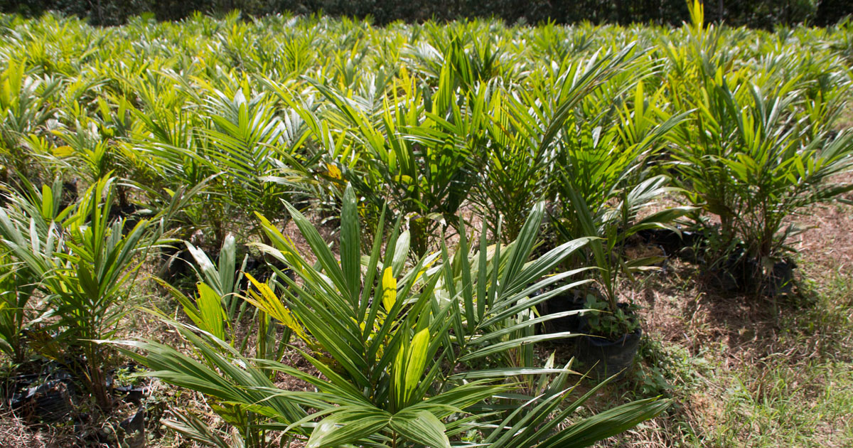 Lessons from Jurisdictional Approaches for the Development of