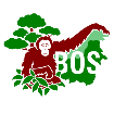 Borneo Orangutan Survival Foundation (BOSF)