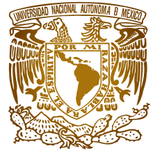 Universidad Nacional Autonoma de Mexico (UNAM)