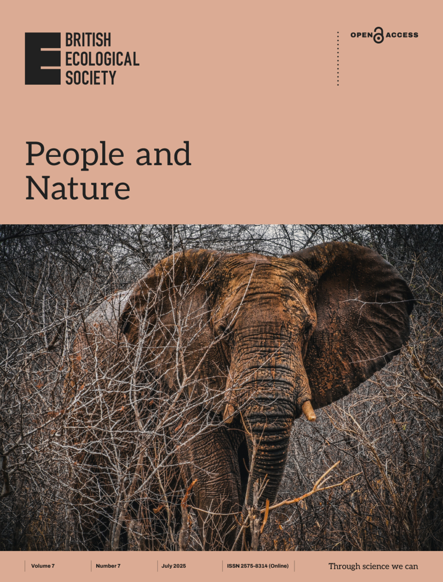 Beyond imperfect maps: Evidence for EUDR-compliant agroforestry