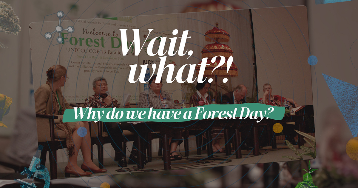 Wait, what?! How are forests cooling the planet?