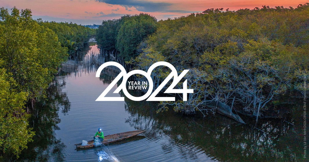 What did 2024 mean for forests and landscapes?