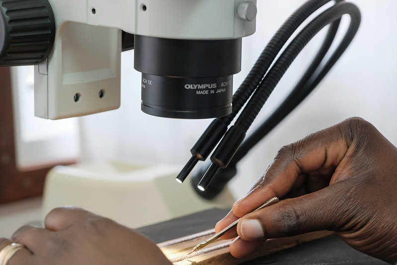 CIFOR-ICRAF tree seed lab promotes sustainable agroforestry