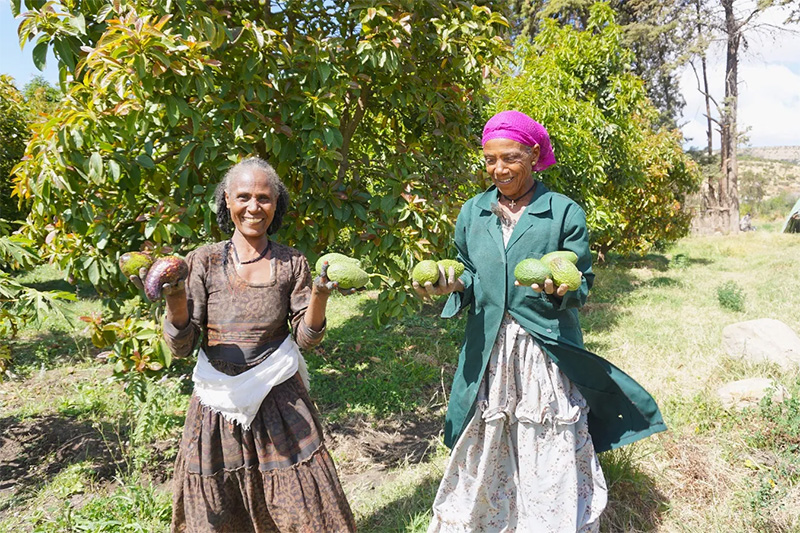 Bringing hope to farmers
