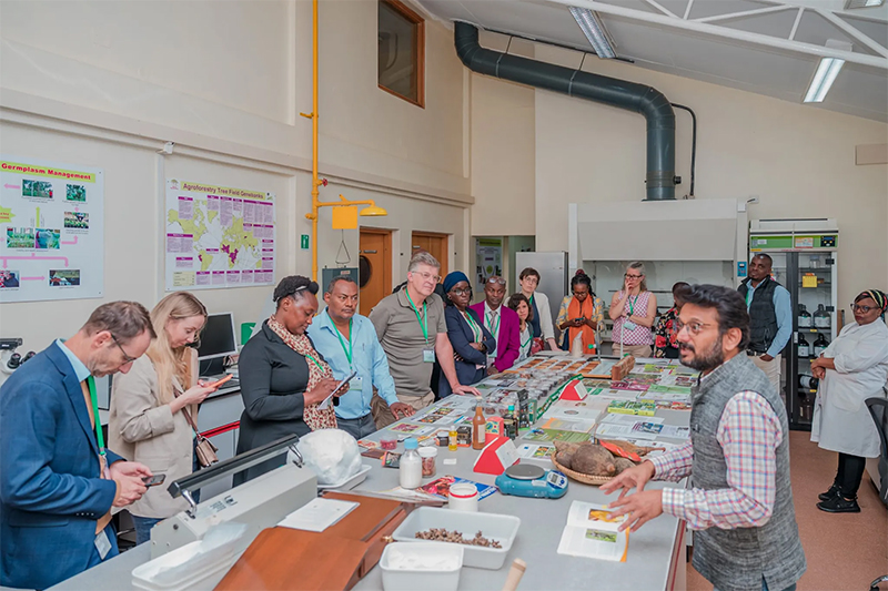 Planting change: How AfroGrow is rethinking agroforestry in Africa