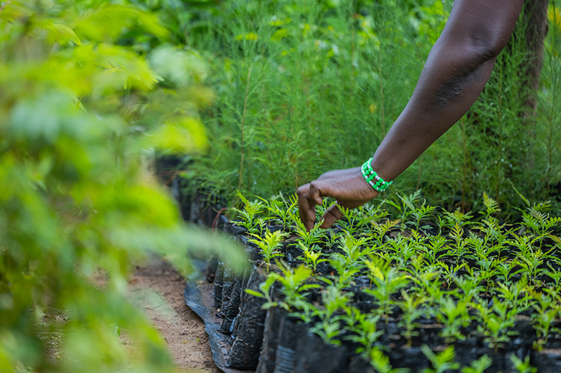 Africa Climate Summit 2 (ACS2)