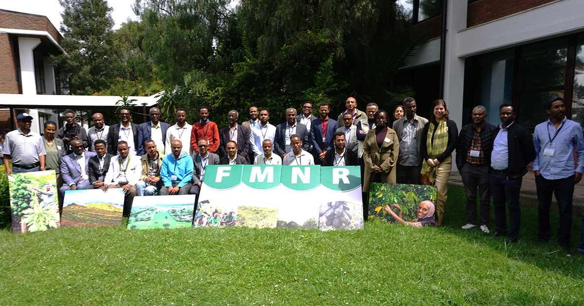 Regreening Africa Phase II launched in Ethiopia