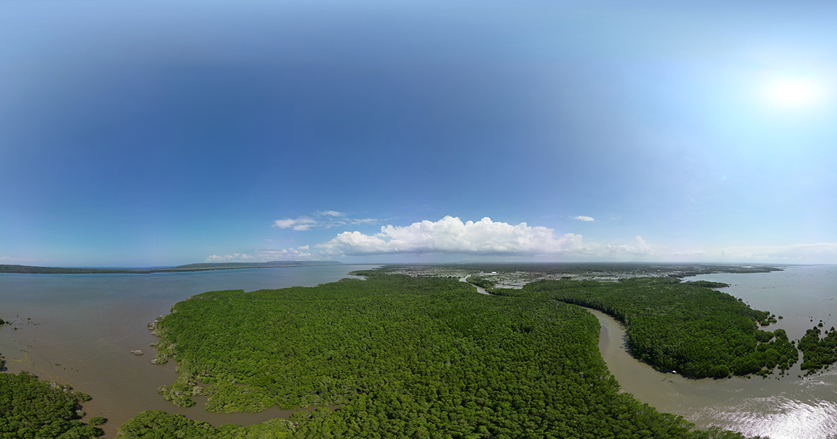 Blue carbon economic value and Indonesia’s leadership