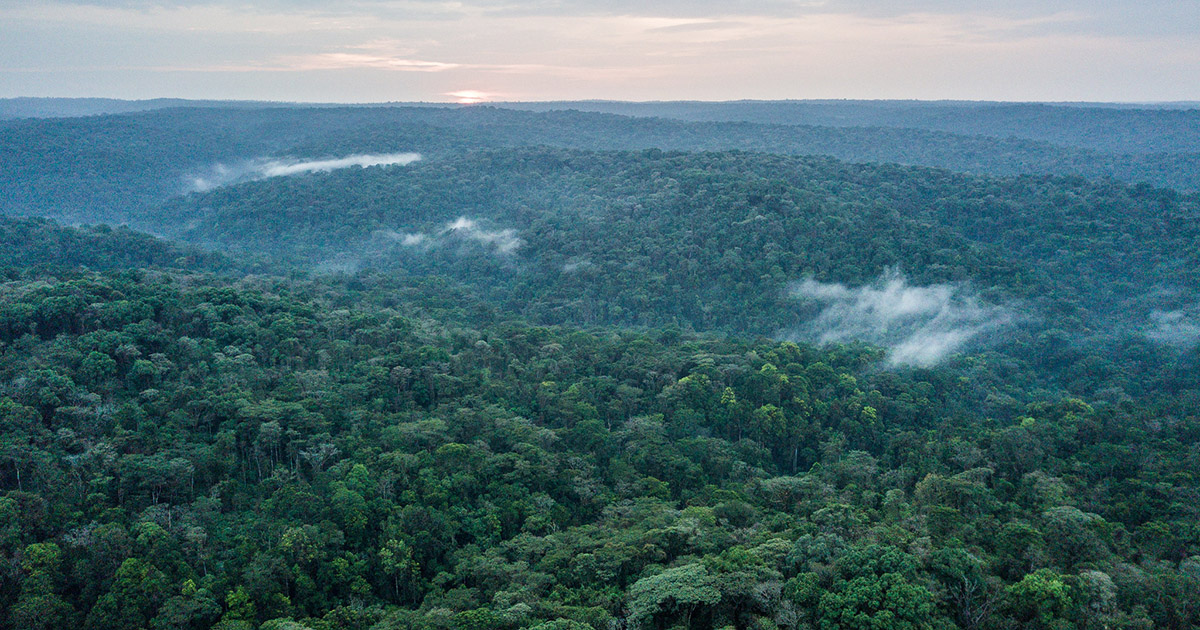 CIFOR-ICRAF and Partners Convene International Scientific Symposium and High-Level Workshop to Strengthen the Future of Central African Forest Research and Resilience