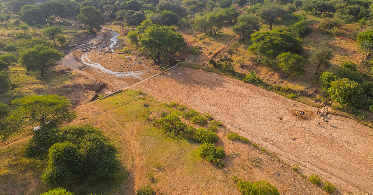 African-led Climate Solutions