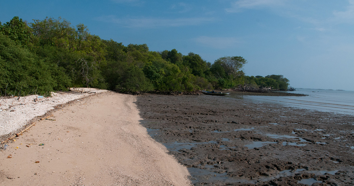 Regional learning workshop: Strengthening Capacities for Equitable Blue Carbon Finance