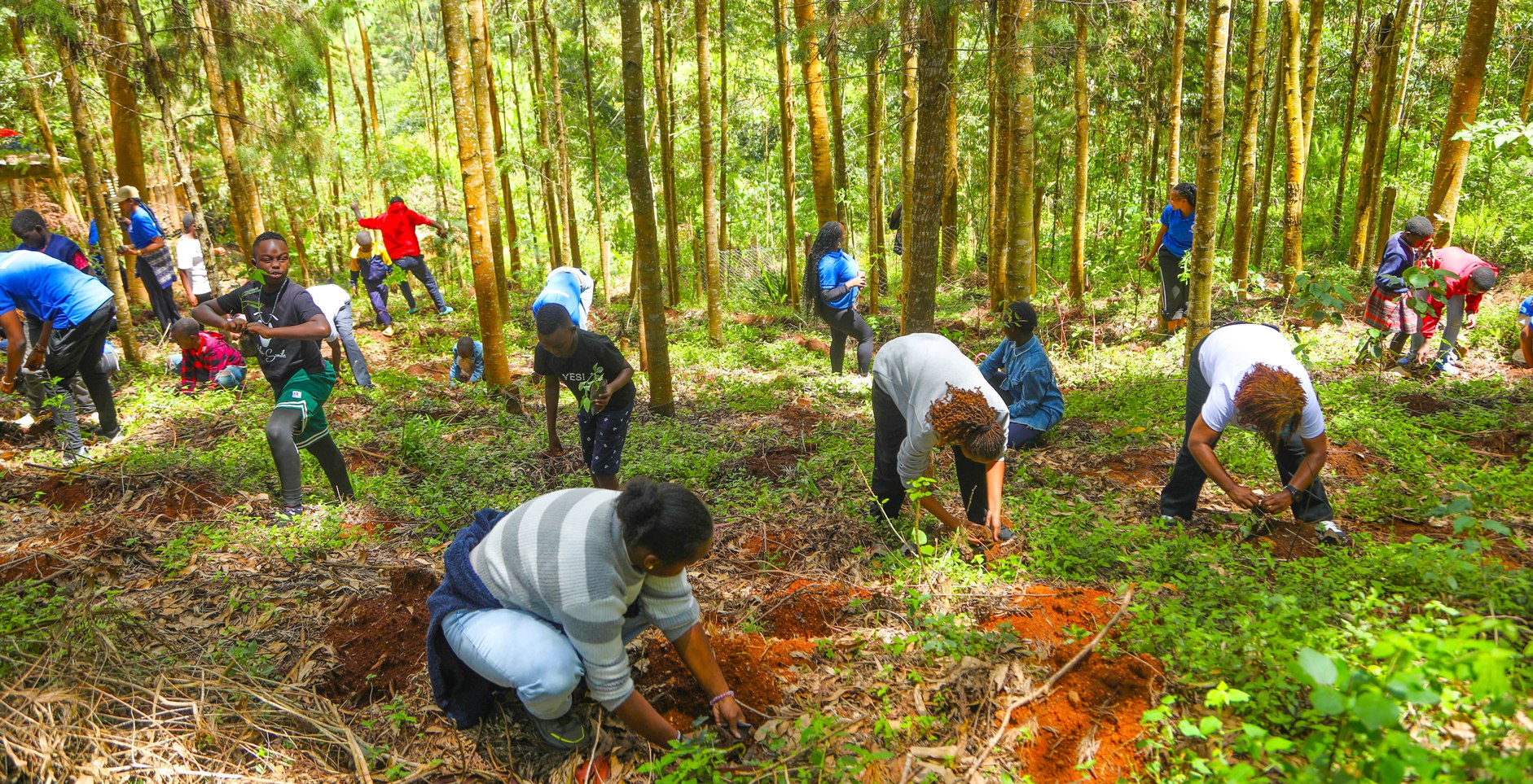 International Day of Forests: Planting trees, conserving forests and nurturing young stewards