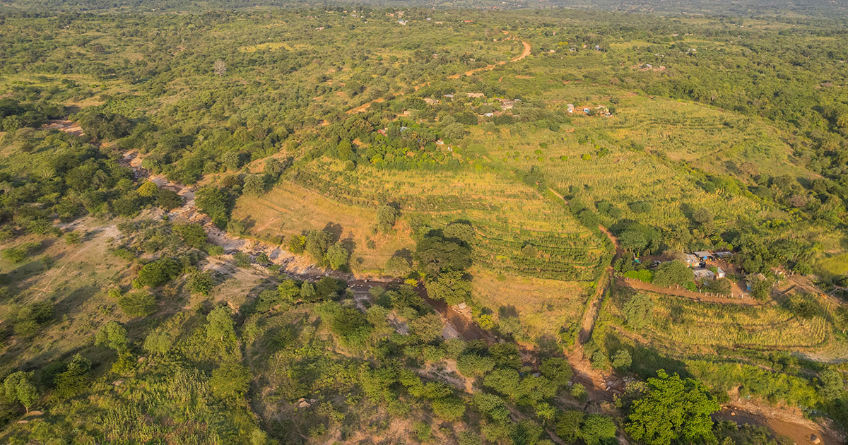 African-led Climate Solutions